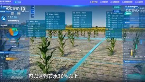 3月16日，央视新闻频道报道，今日，疏勒河灌区多个渠首陆续开闸，借助数字孪生等技术，134万亩农田得以畅饮“智慧”水，实现了水资源的高效利用和农田的精准灌溉。